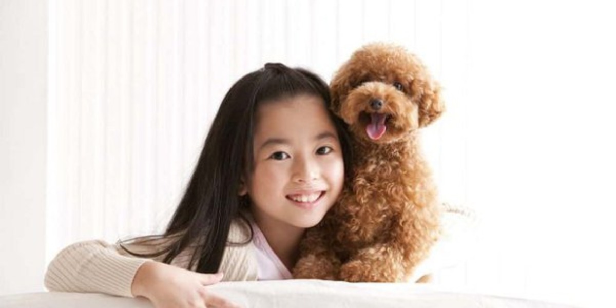 Are Toy Poodles Kid Friendly