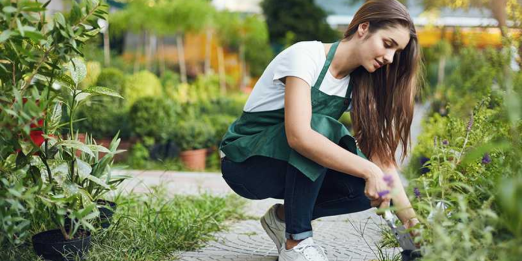 Gardening Trading Company