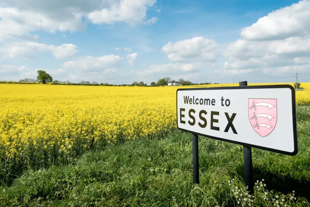 Understanding Crime Trends in Essex 2024