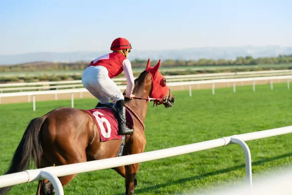 What Makes a Great Horse Racing Betting Site in the UK? What Makes a Great Horse Racing Betting Site in the UK?