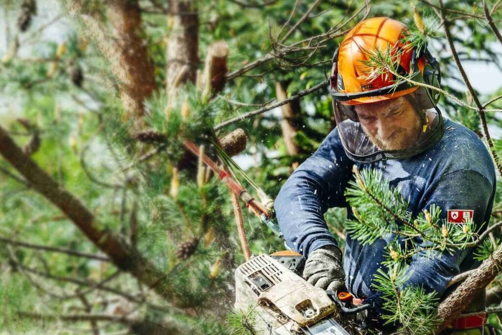 Tree Service in La Grange, IL