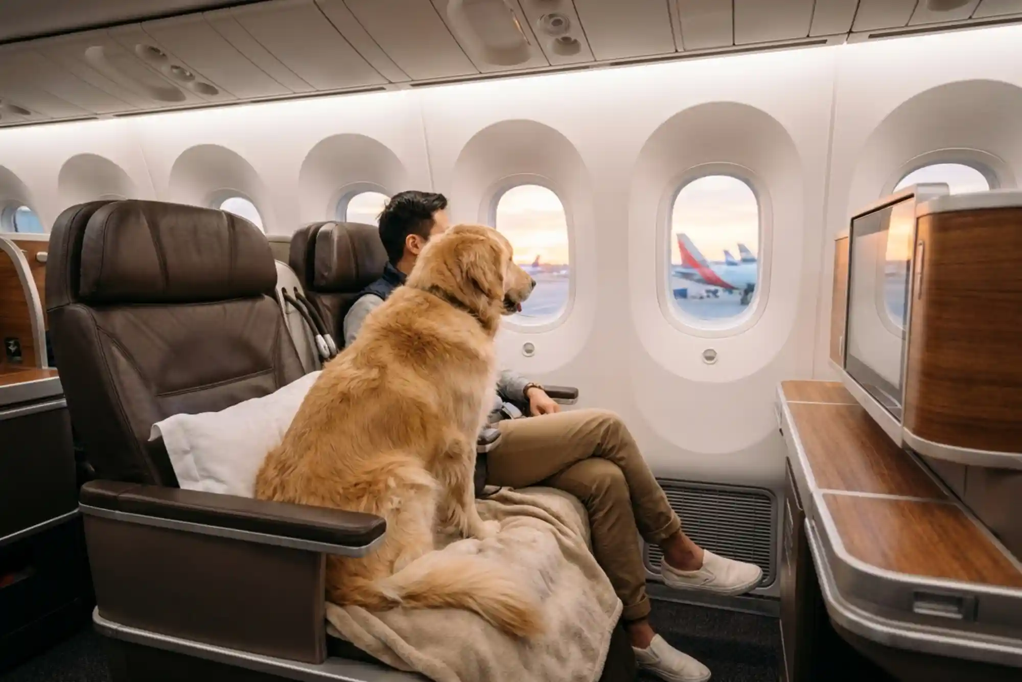 How to Fly Internationally with a Dog: Cabin Dimensions, Pet Passports, and IATA Rules