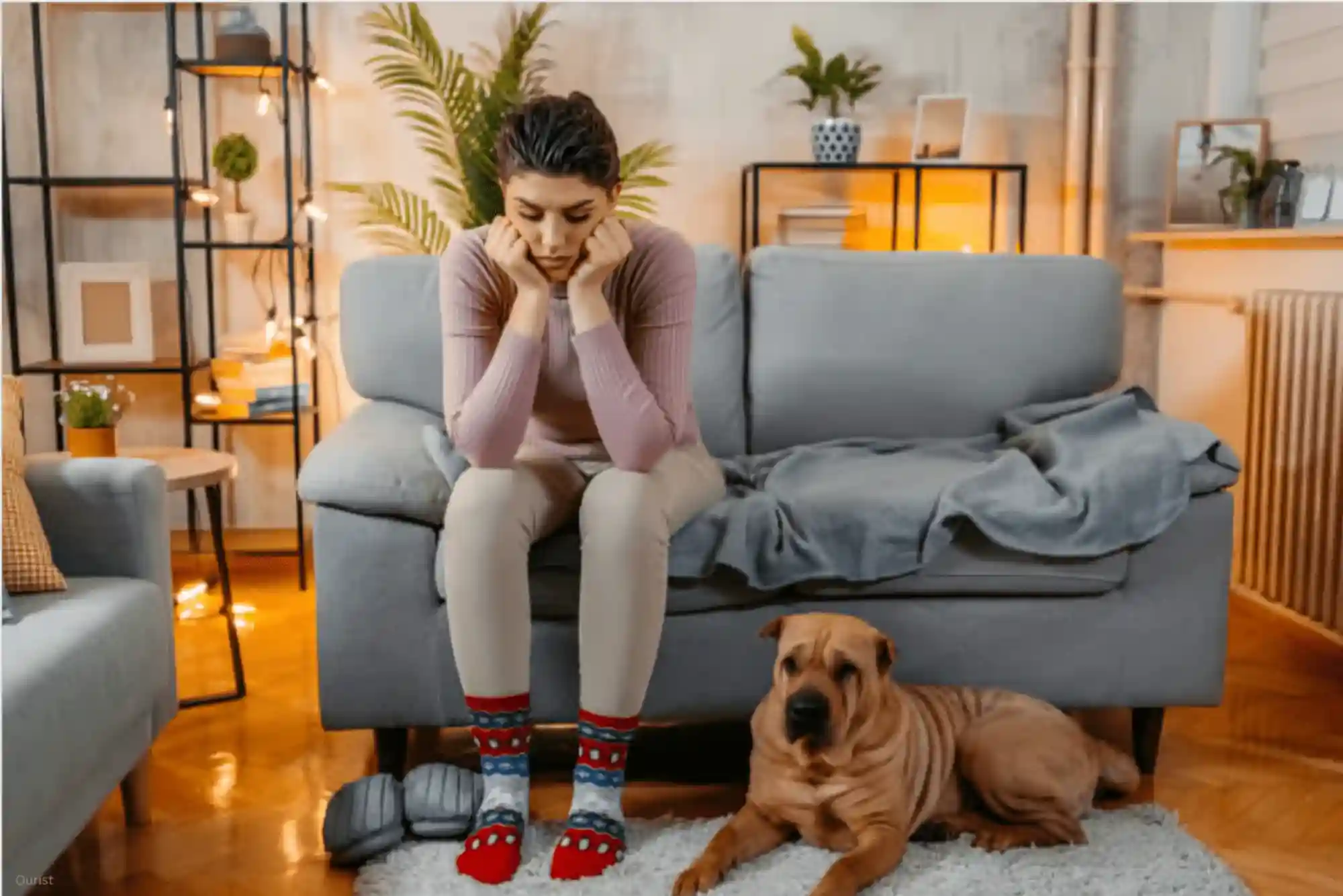 Signs of Separation Anxiety in Rescue Dogs: Proven Calming and Desensitization Routine