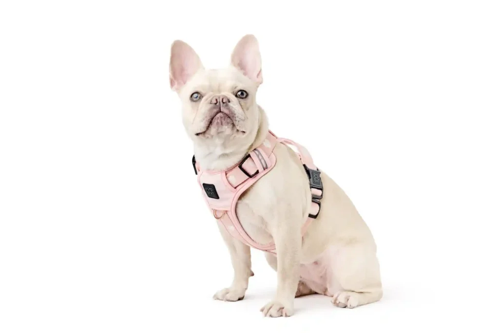 Best Tactical Dog Harnesses with Handle for Large Breeds and Service Dogs